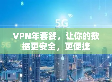 VPN年套餐，让你的数据更安全，更便捷