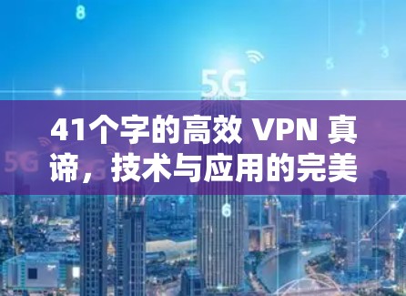 41个字的高效 VPN 真谛，技术与应用的完美融合