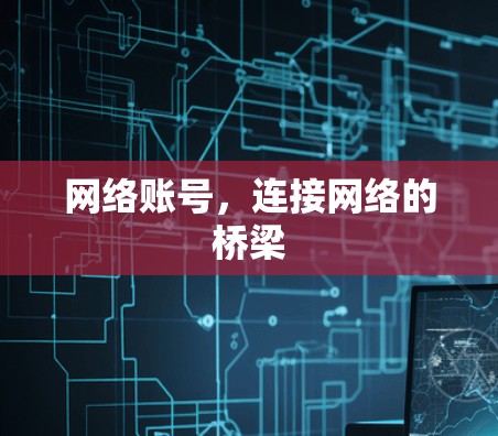 网络账号，连接网络的桥梁