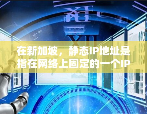 在新加坡，静态IP地址是指在网络上固定的一个IP地址，通常用于测试、监控或管理特定的用户或设备。静态IP地址不会在访问时自动更新，而是固定在特定的网络上