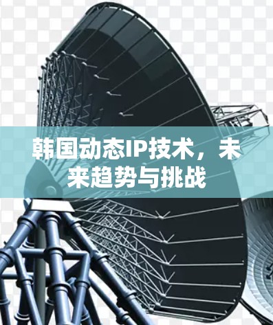 韩国动态IP技术,未来趋势与挑战