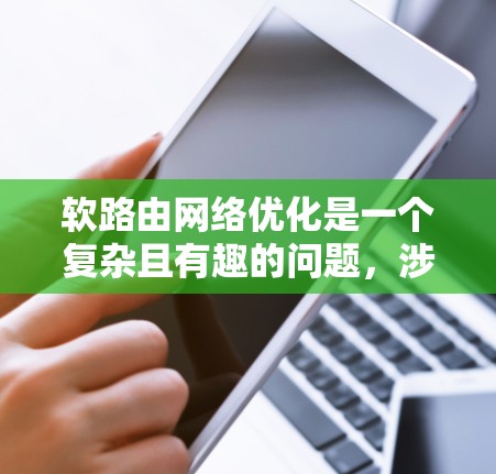 软路由网络优化是一个复杂且有趣的问题,涉及多个优化措施和技术。以下是对软路由网络优化的详细总结和解释