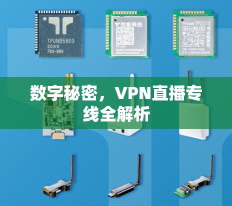 数字秘密，VPN直播专线全解析